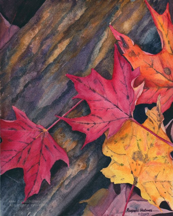 Autumn Colors | 10" x 8" | Not for Sale