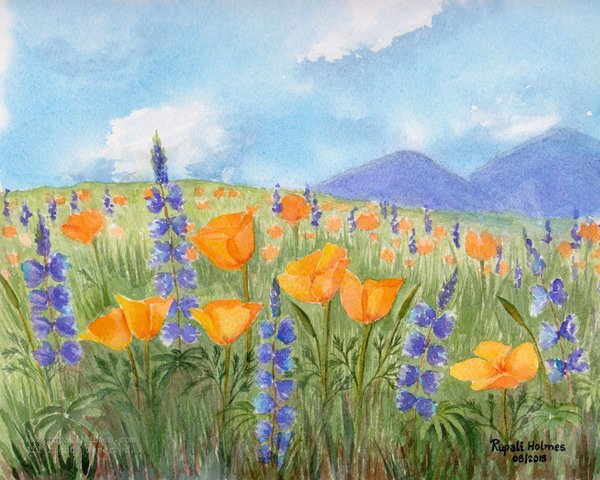 Spring Wildflowers | 8" x 10" | $200