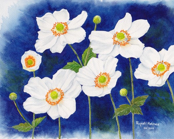 Japanese Anemone | 8" x 10" | $250