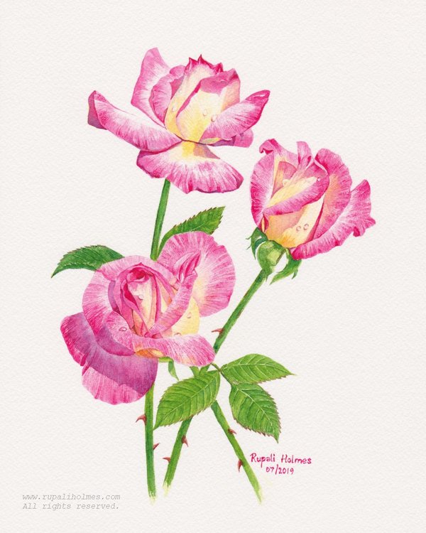 Walthalia Rose | 10" x 8" | $200