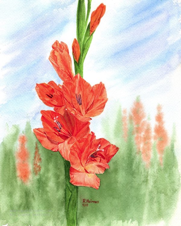 Summer Gladioli | 10" x 8" | $200