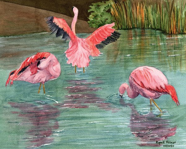 Flamingo Trio | 8" x 10" | Sold