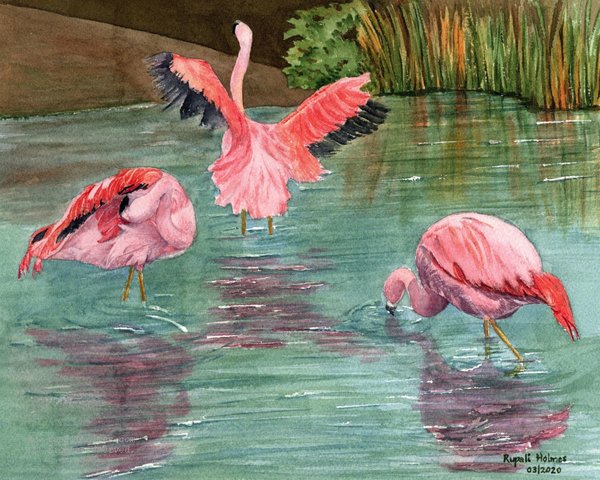 Flamingo Trio | 8" x 10" | Sold