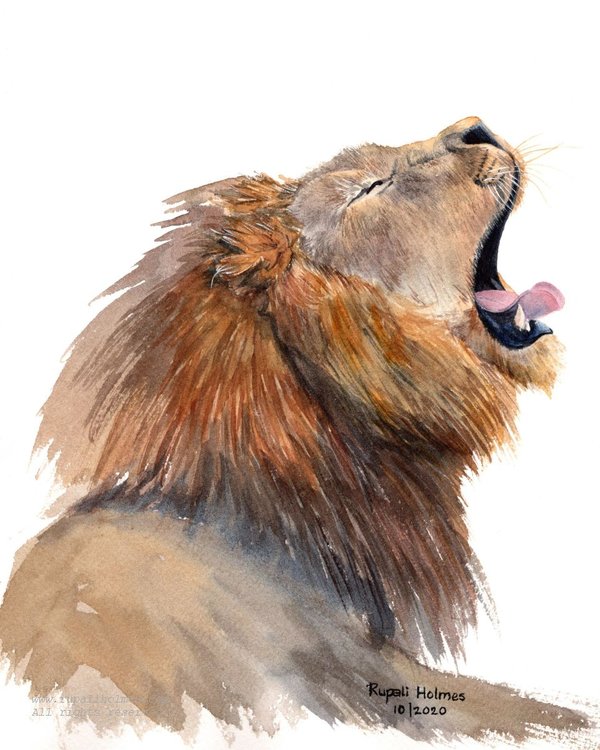 Big Yawn | 11" x 9" | Sold