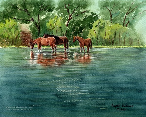 Wild Horses on Salt River | | 8" x 10" | Sold