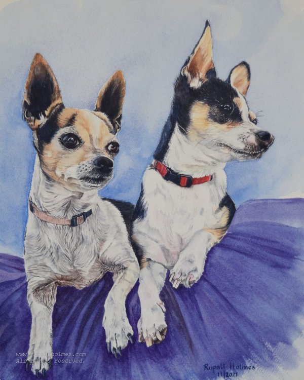 Penny and Nickel | 14" x 11" | Commission