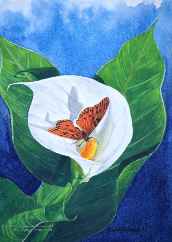 Calla Lily | 7" x 5" | Donated