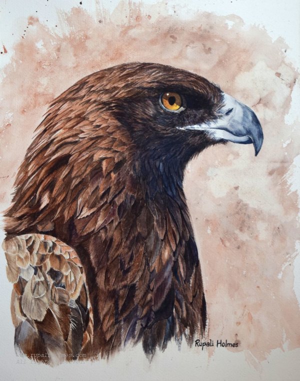Eye on the Trail | 14" x 11" | $600