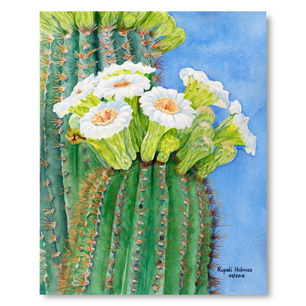 Saguaro Blossoms