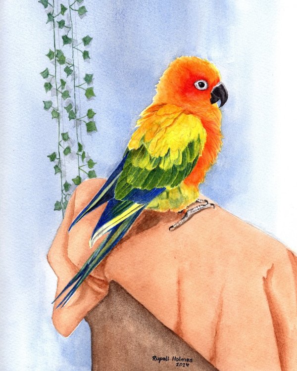 Colores | 8" x 10" | Commission