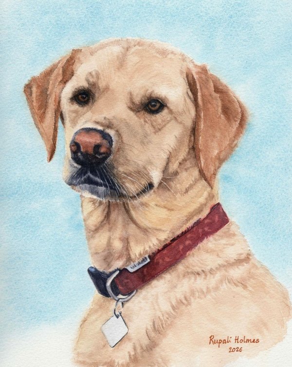 Sophie | 8" x 10" | Commission