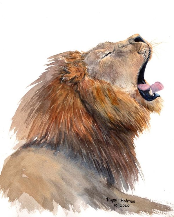 The Big Yawn | 10" x 8" | Sold