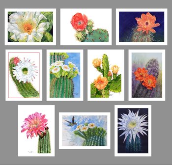 Southwest Florals 10 Card Set